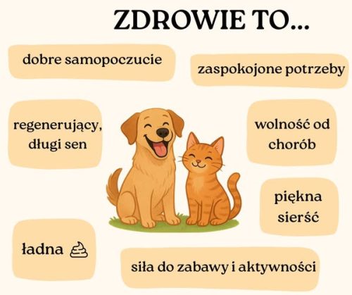 Zdrowie to...