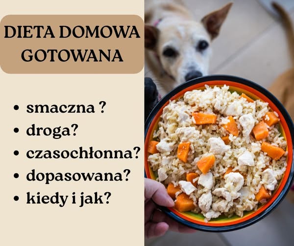 𝐆𝐨𝐭𝐨𝐰𝐚𝐧𝐢𝐞 𝐝𝐥𝐚 𝐩𝐬𝐚 𝐥𝐮𝐛 𝐤𝐨𝐭𝐚